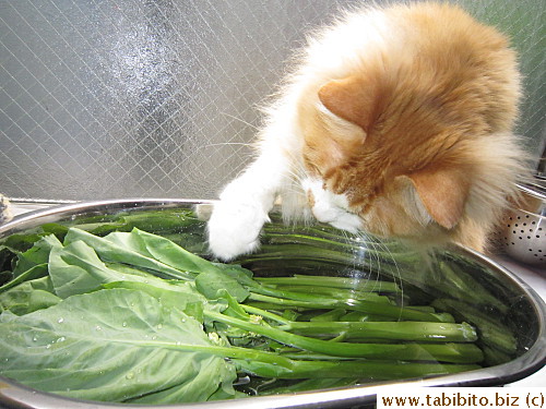 vegetable soaking water