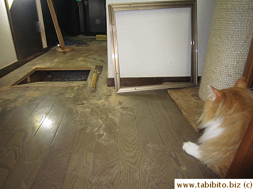 Efoo was eagerly waiting for his chance to crawl inside it