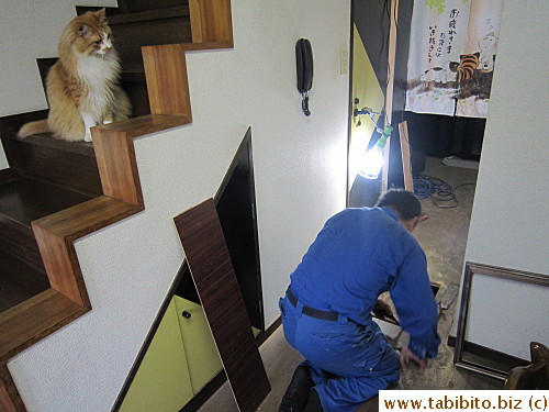 not petrified of the stranger?!