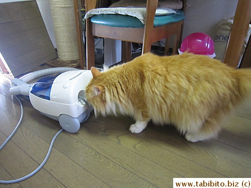 Landlord brought his own vacuum cleaner to clean up the mess