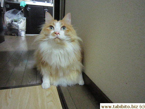 Efoo has this weird thing that