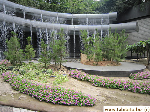 The garden in front of the waterfall