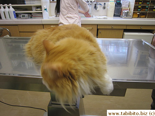 Looking for an escape route