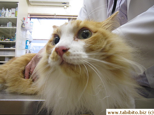 Freaked out as usual