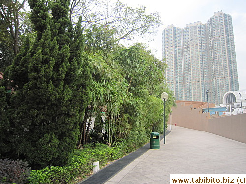 A walking path 