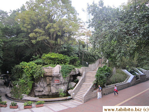 Think those steps lead to an aviary, forgot to check it out...