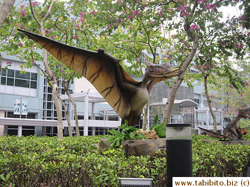 They attract lots of people