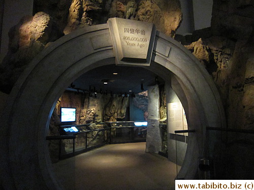 The exhibition starts from 400 million years ago