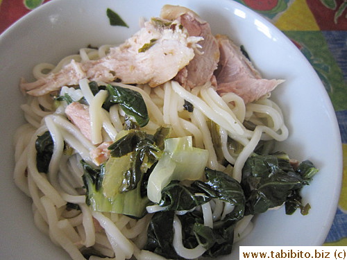 Turkey with noodles