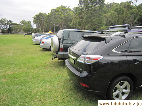 Attendants directed motorists to park on grassland 