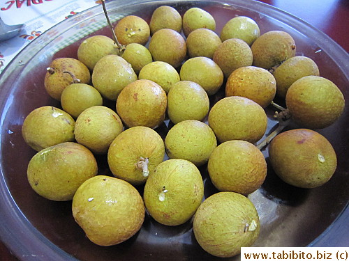 Australian longan, also jumbo size