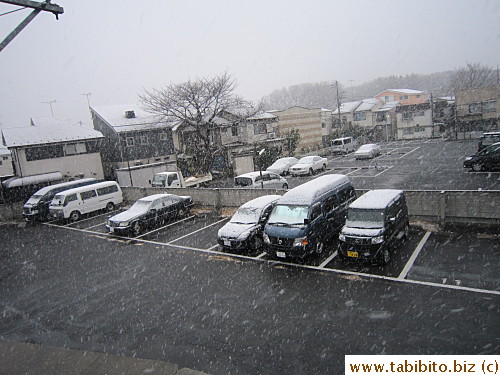 Feb 4, steady light snowing