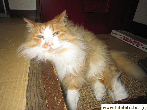 Efoo looks so relaxed