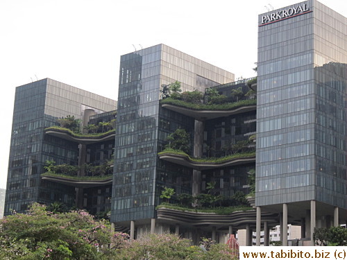 Interesting gardens in Parkroyal Hotel