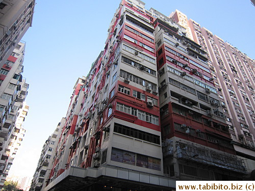 More of these around the back