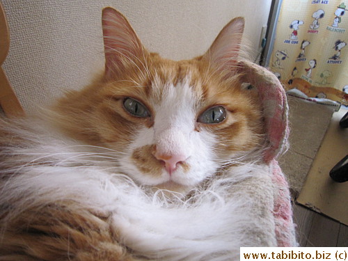 You talking to me?