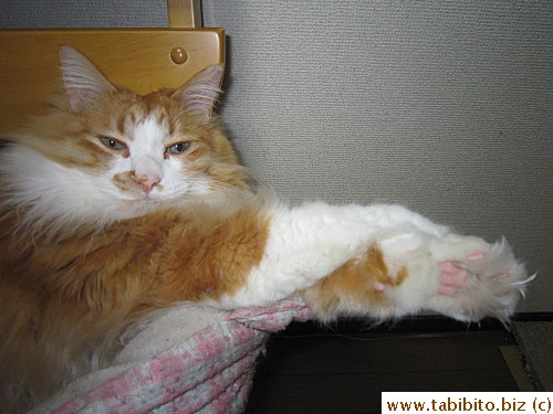 So relaxed