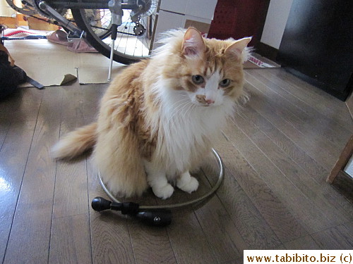 Efoo likes his circular jail