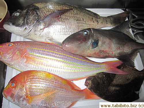 First purchase was a set with small fish plus two big fish
