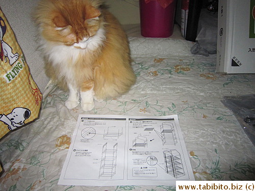My assistant