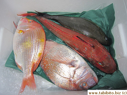 Second purchase was a big fish set