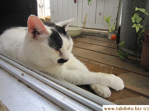 MT is chillaxing