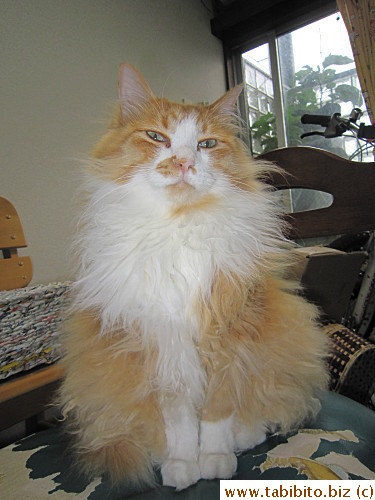 Are you plotting to kill us?