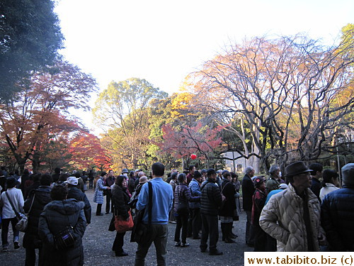 This is the kind of crowd before the illumination , lots more arrived after dark