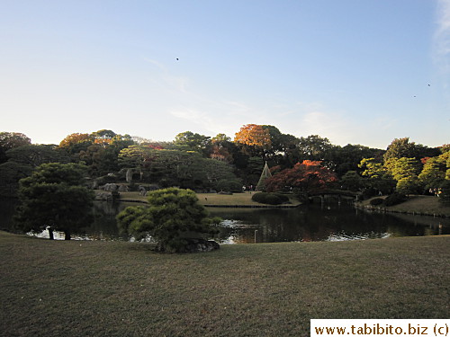 A pond