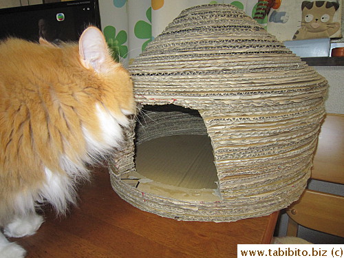 Efoo checks out his new house