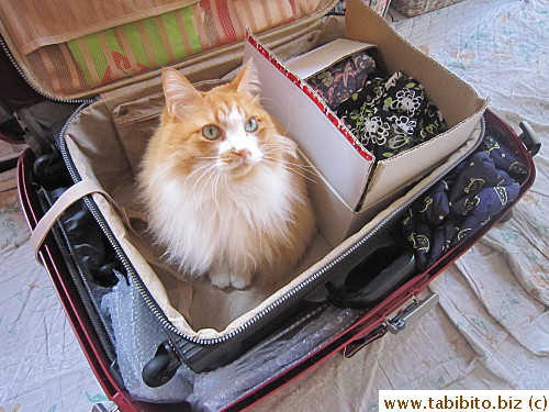 deliver it to Narita Airport