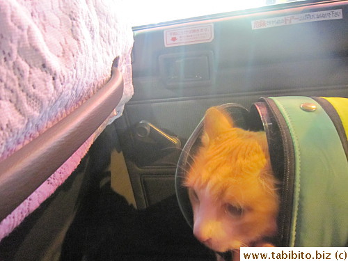 First time in a taxi