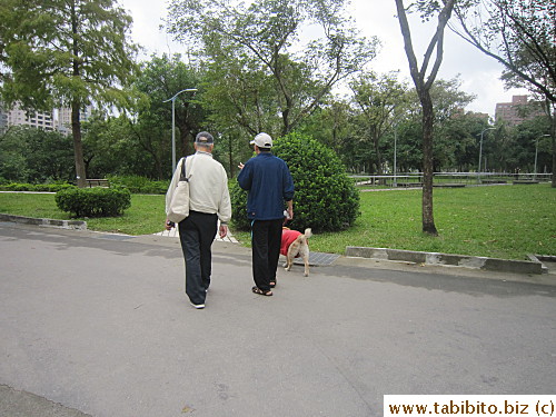 Many dogs were outfitted