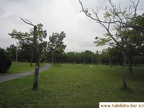 with no apparent owners around