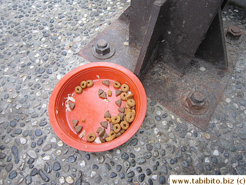 Cat food at the entrance