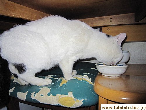 Good appetite