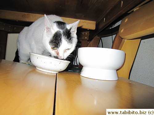 MT's comfort zone is under the table