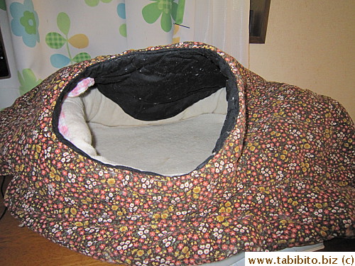 Efoo's favorite tent is made from my bulky vest