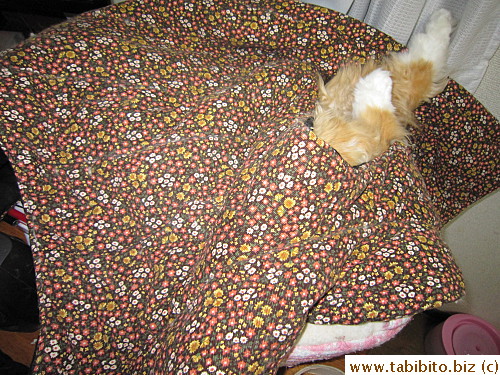 Nothing unusual about that