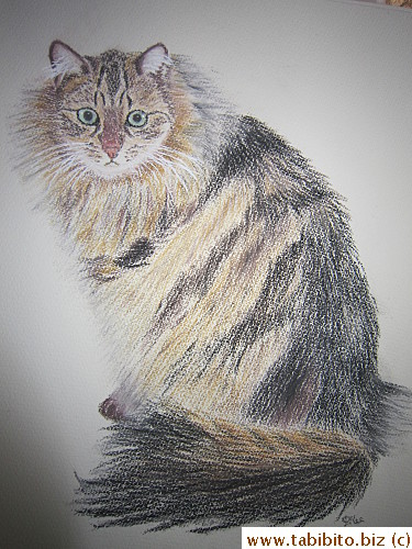 Oil pastel
