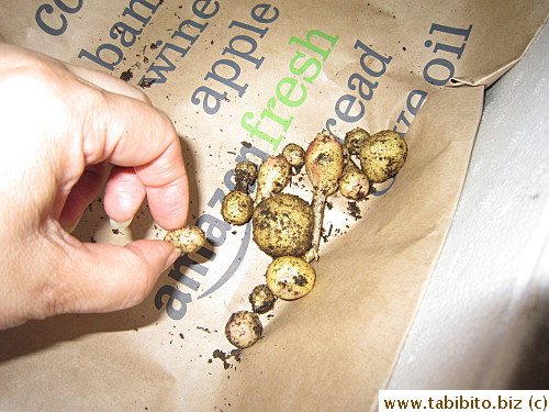 This is ALL THERE WAS from the biggest pot, WTF?!