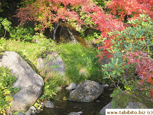 Left the garden and spotted a 