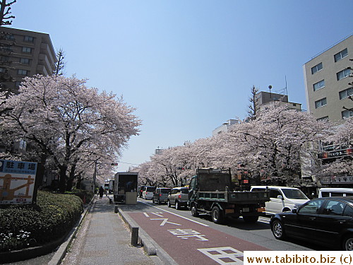 Driving along this road must be enjoyable even in traffic