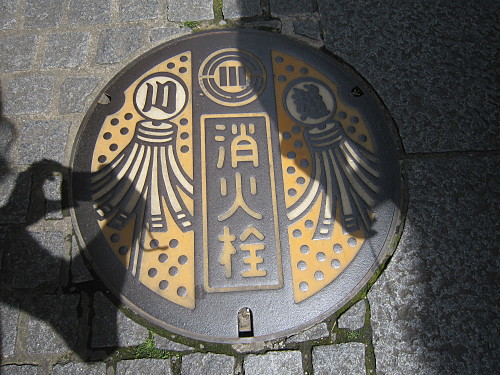 Pretty fire hose cover