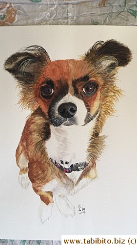 I painted my brother's dog