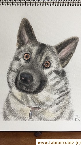 Did a simple painting of my parents' dog
