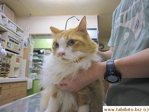 Always a nervous wreck at the vet's