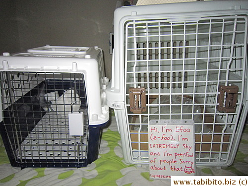 We bought a travel carrier in Sydney (L) on our last trip there for Efoo's flight.  I wanted him to fly comfortably so we got him another carrier in Tokyo big enough for a medium dog.  I even had a tag done, ready for his flight.  Sigh...