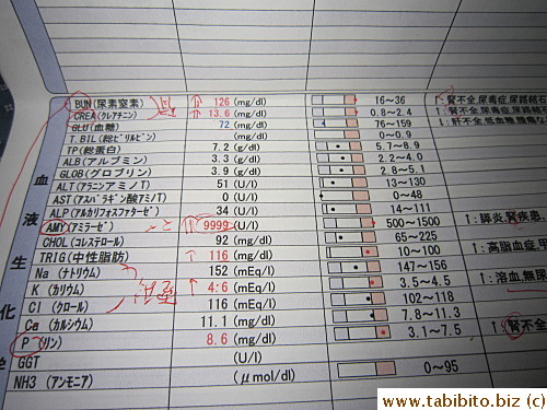 Creatinine and amylase readings were the highest the machine could record