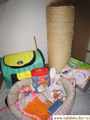 His beloved scratching post and stuff